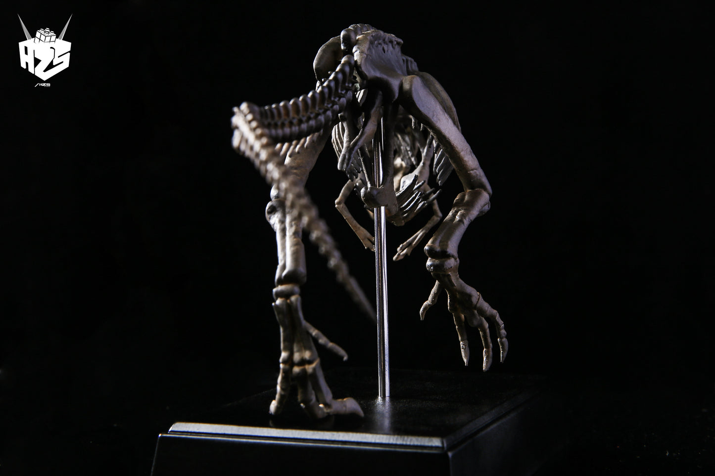 He Zuo She Studio / HSZ Studio - Tyrannosaurus Rex Skeleton