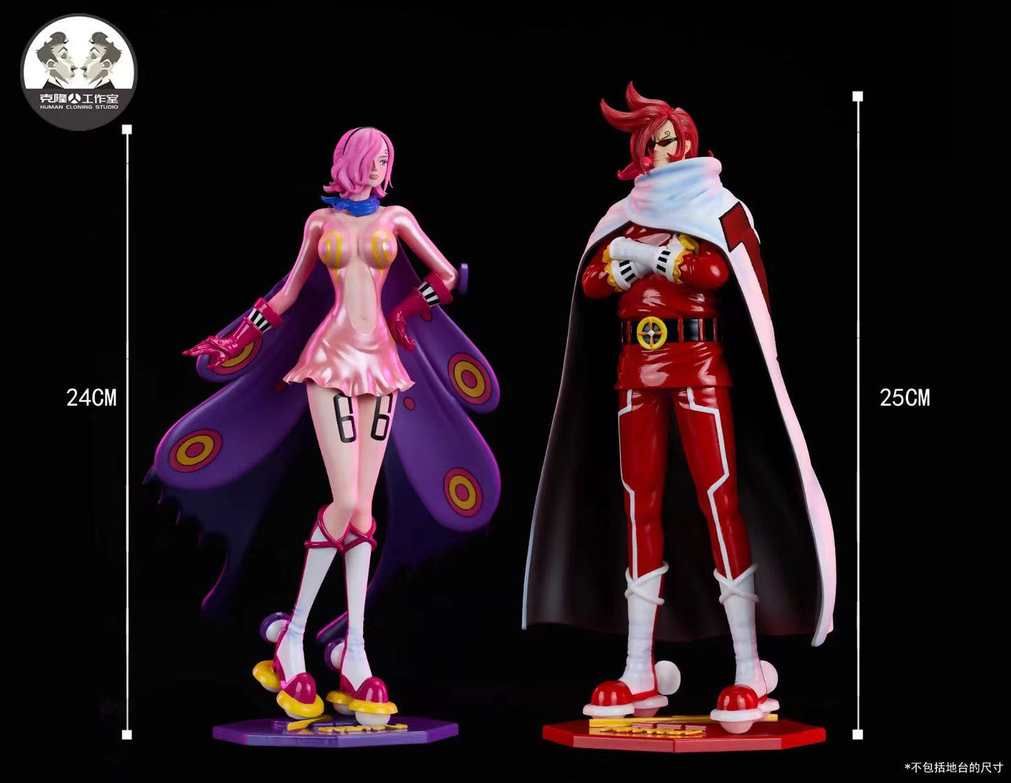 Clone Studio / Human Cloning Studio - Vinsmoke Reiju & Vinsmoke Ichiji