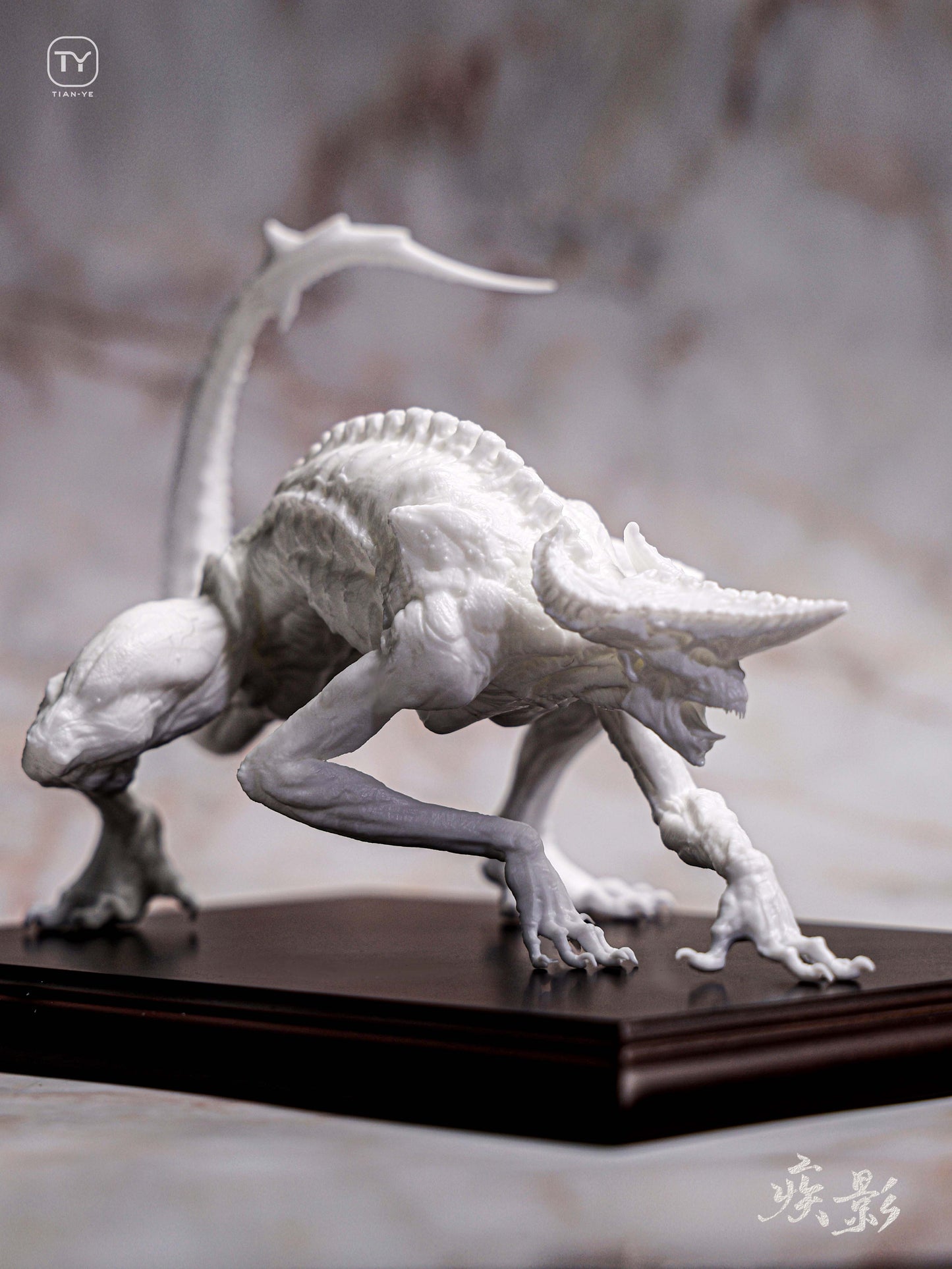 Tian Ye Studio - Illness Shadow Grey Kit Ver.