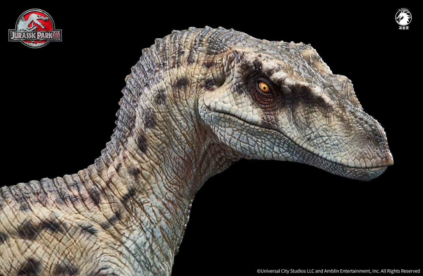 W-Dragon Studio - Velociraptor Female