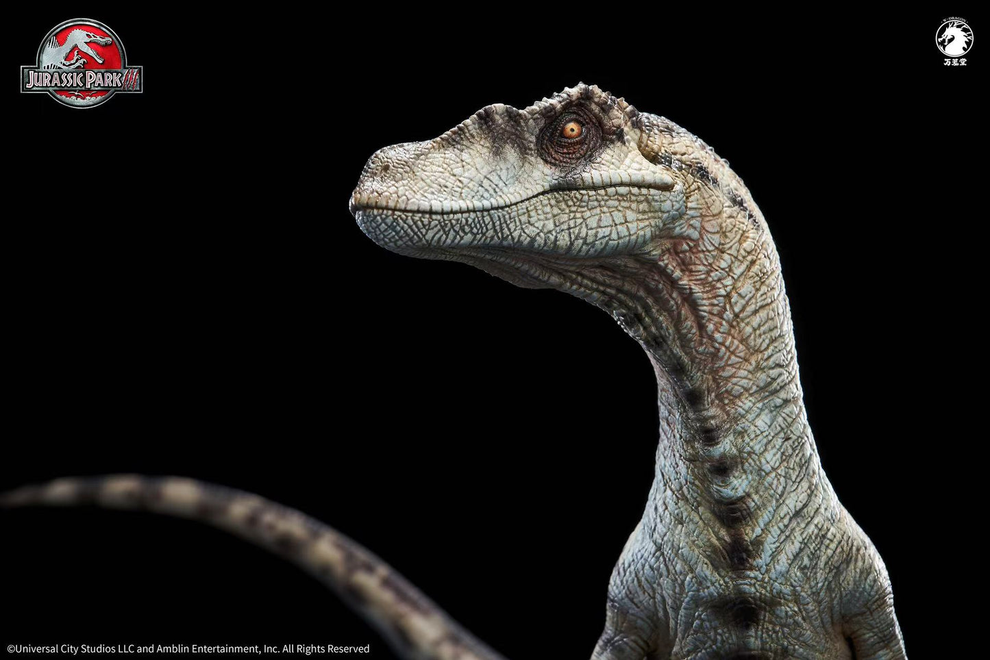 W-Dragon Studio - Velociraptor Female