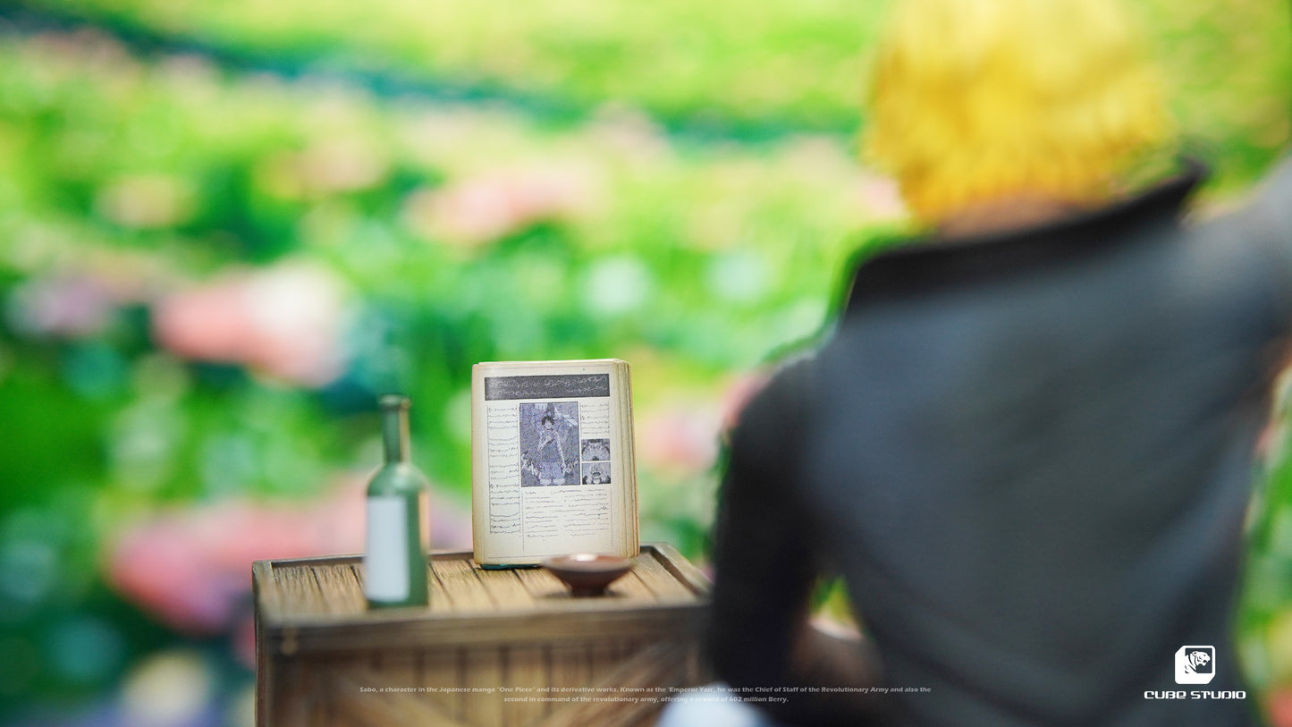 Cube Studio - Sabo The Last Goodbye