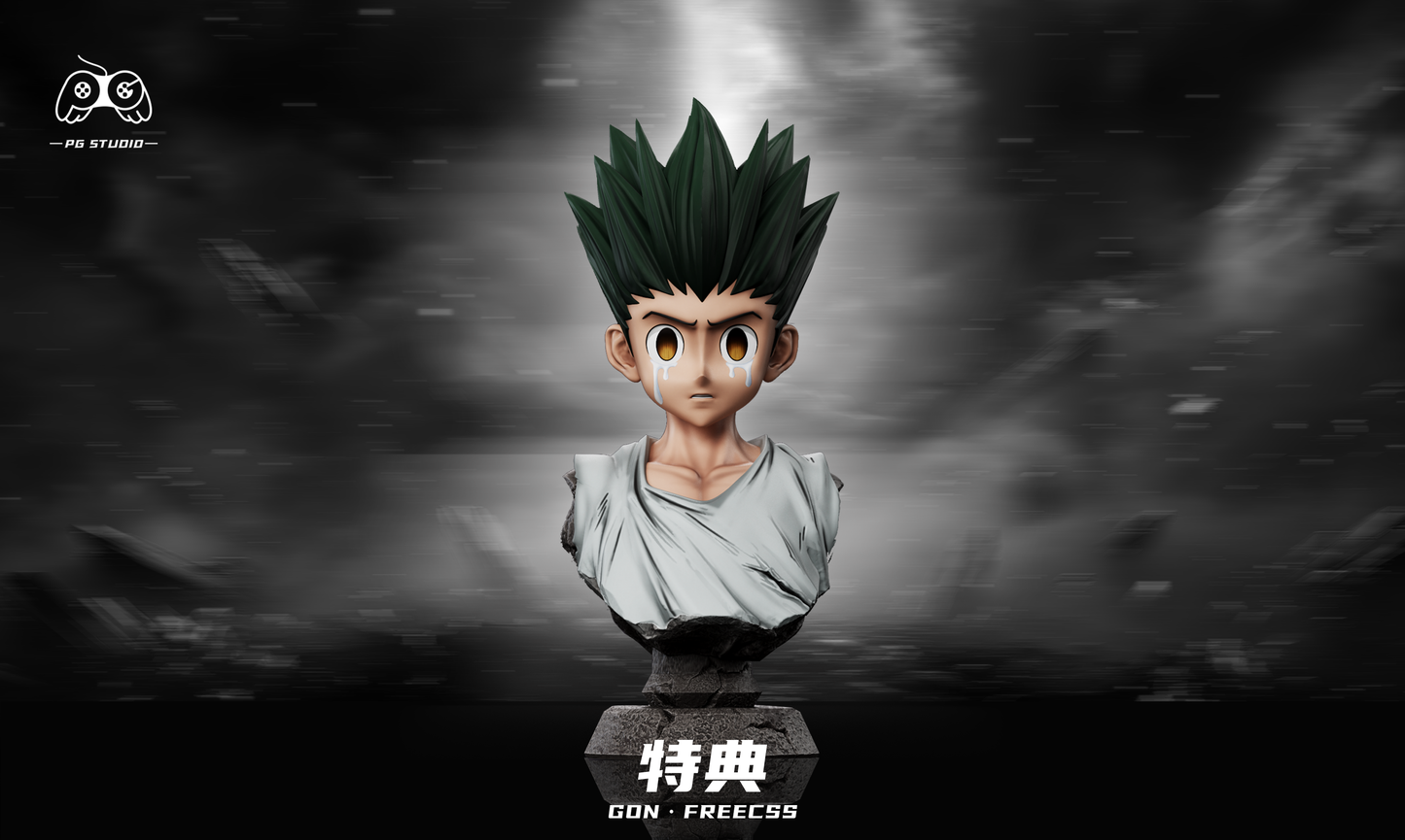 PG Studio - Gon Freecss