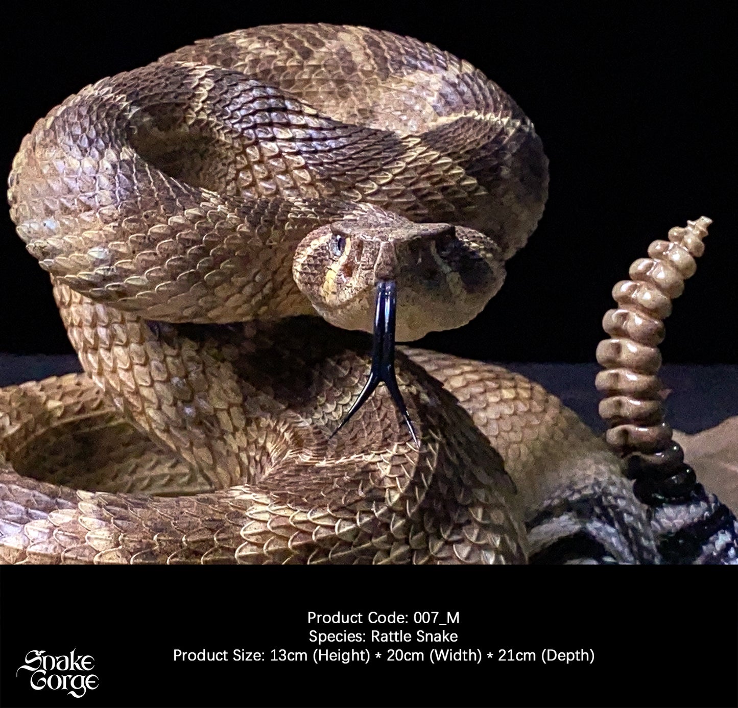 Snakegorge - Western Diamondback Rattlesnake 007_M