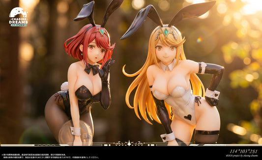 Chasing Dreams Studio - Pyra / Mythra