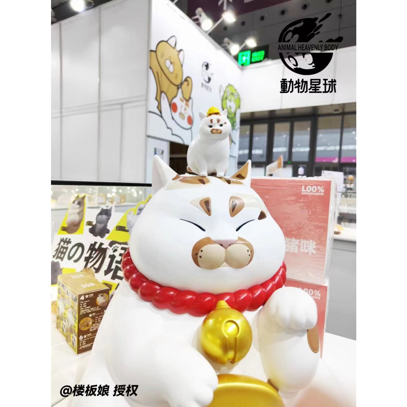 Animal Planet Studio - Fortune Cat
