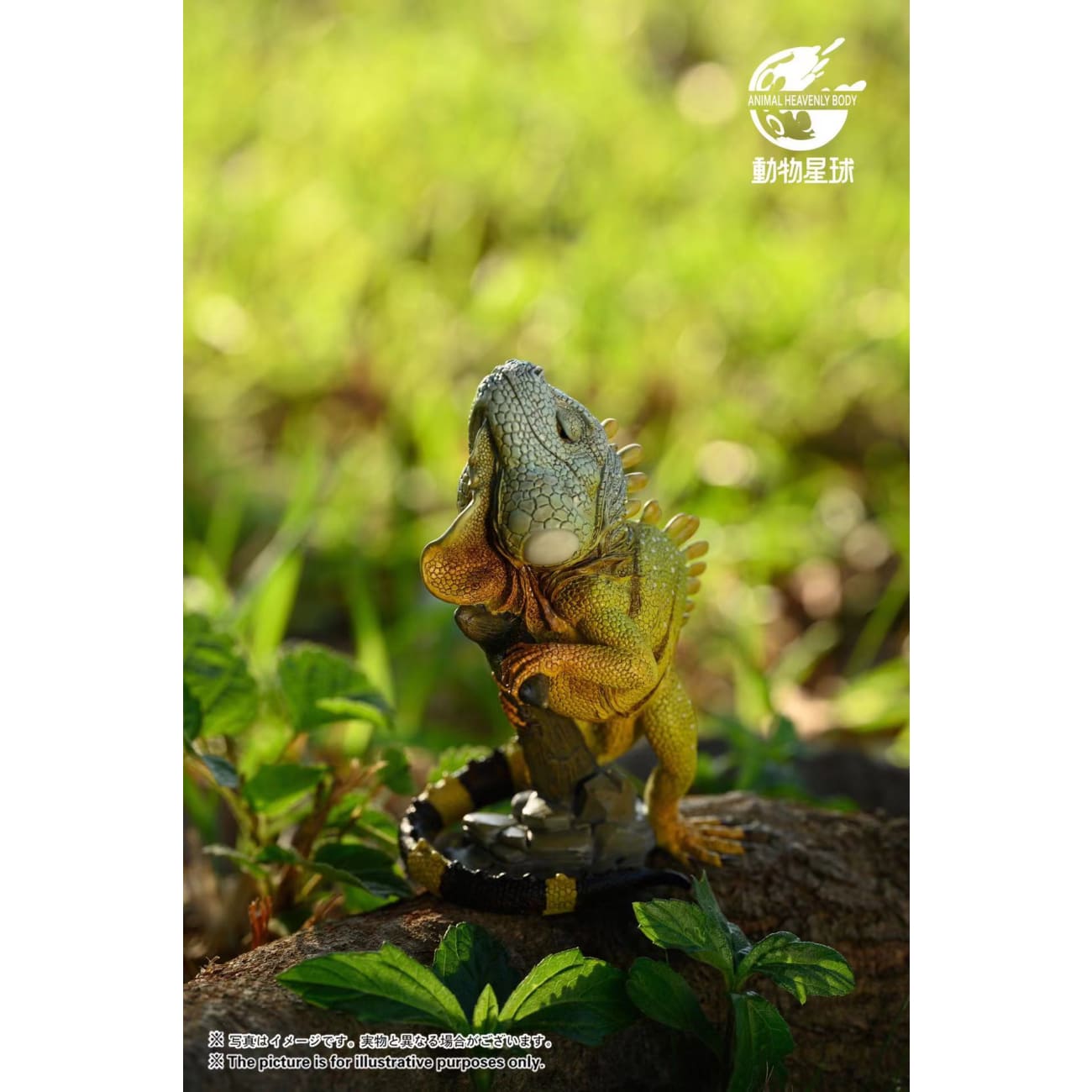 Animal Planet Studio - Green Iguana