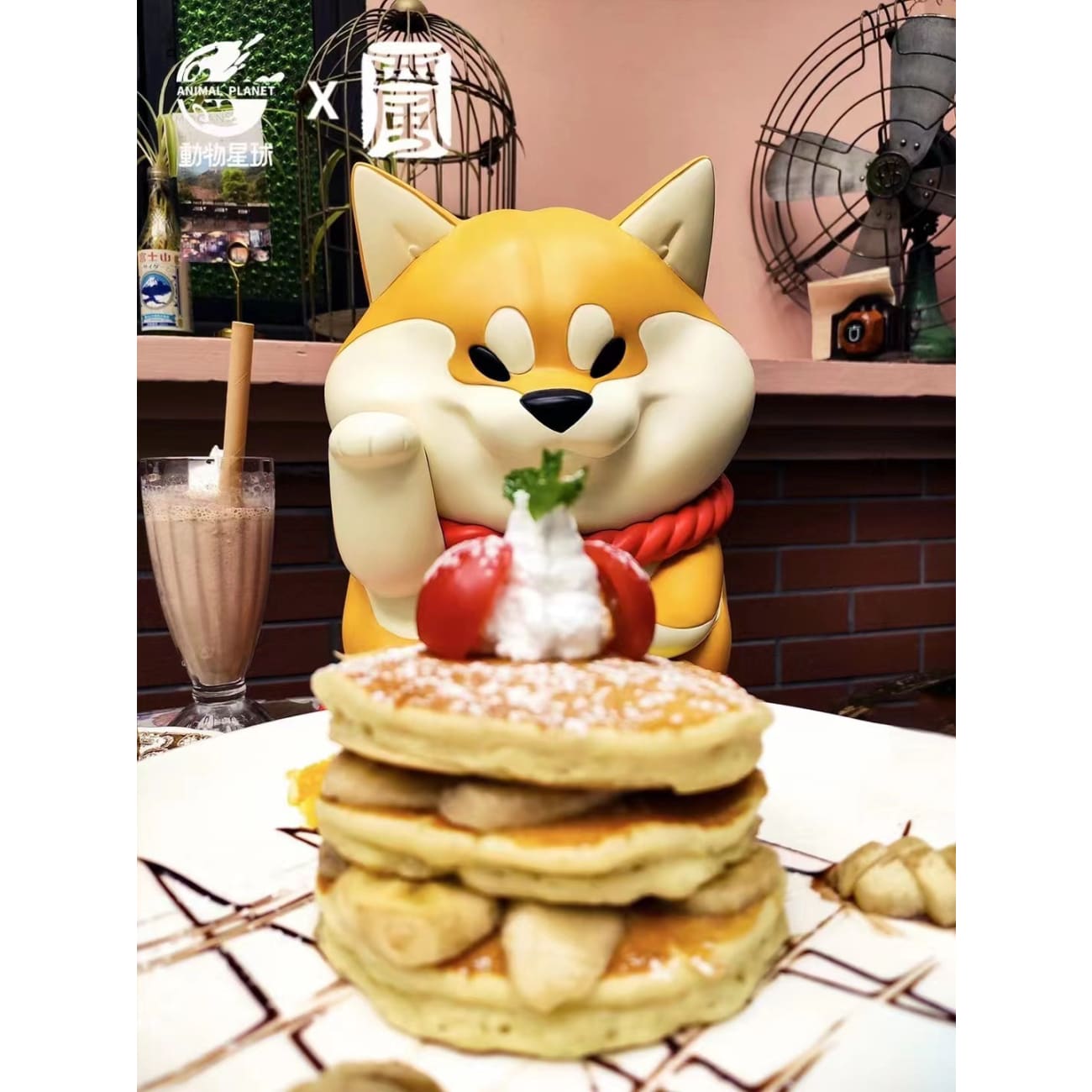 Animal Planet X Xi Feng - Shiba Inu Fortune