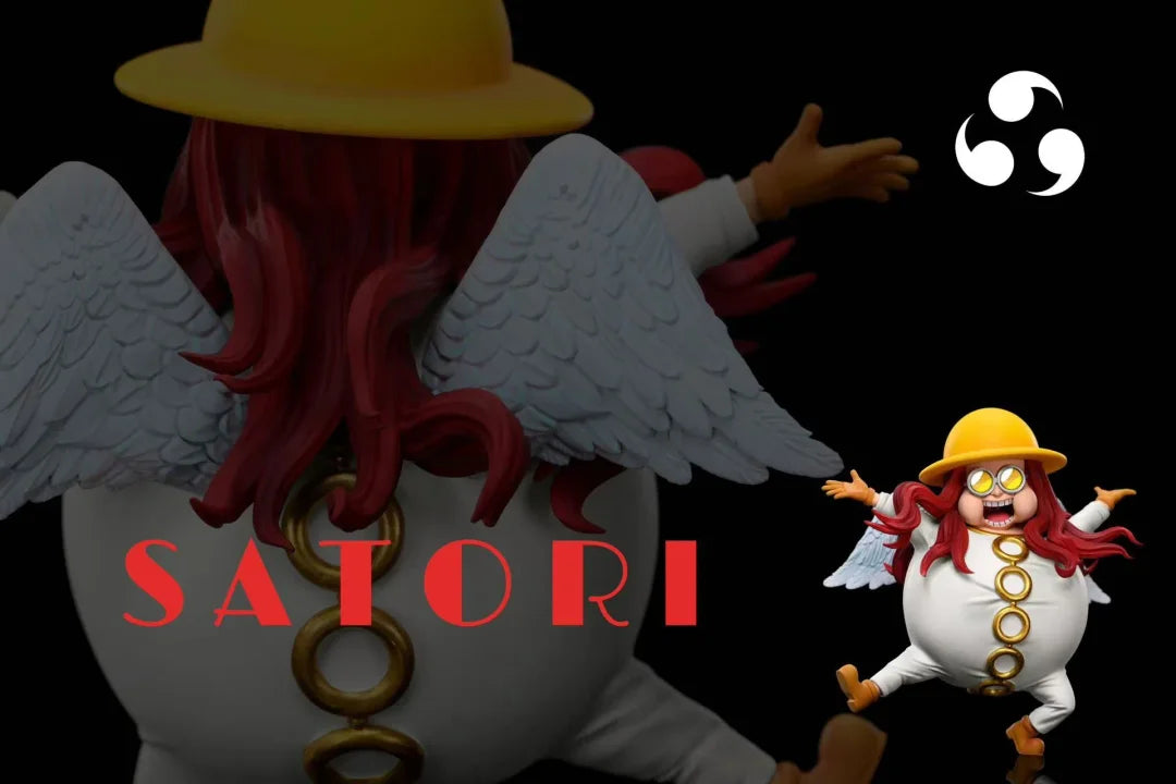 A+ Institute - Satori