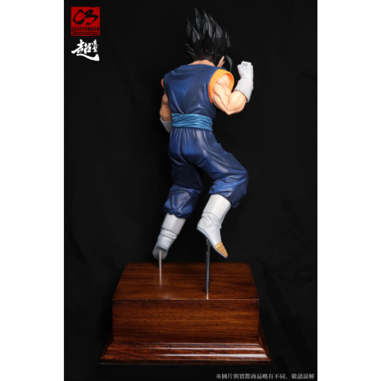 C3 Studio - Vegetto