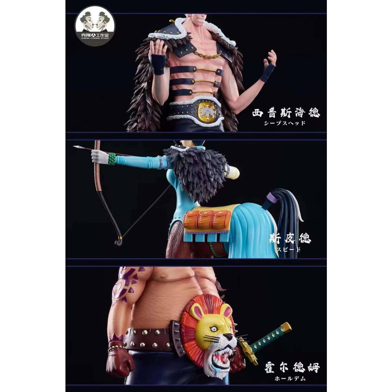 Clone Studio / Human Cloning Studio - Sheepshead, Ginrummy, Holdem & Speed
