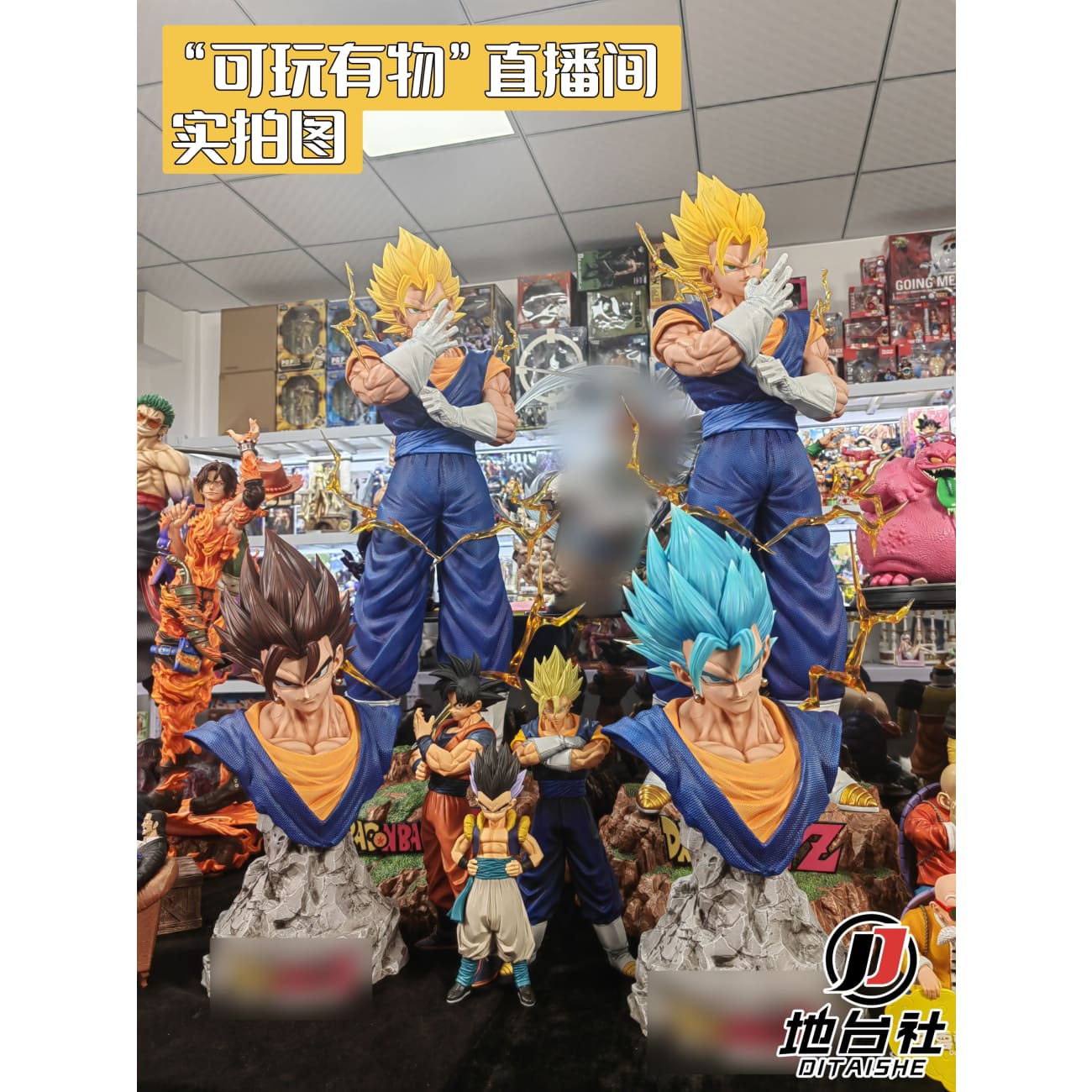 Di Tai She Studio - Vegito Bust