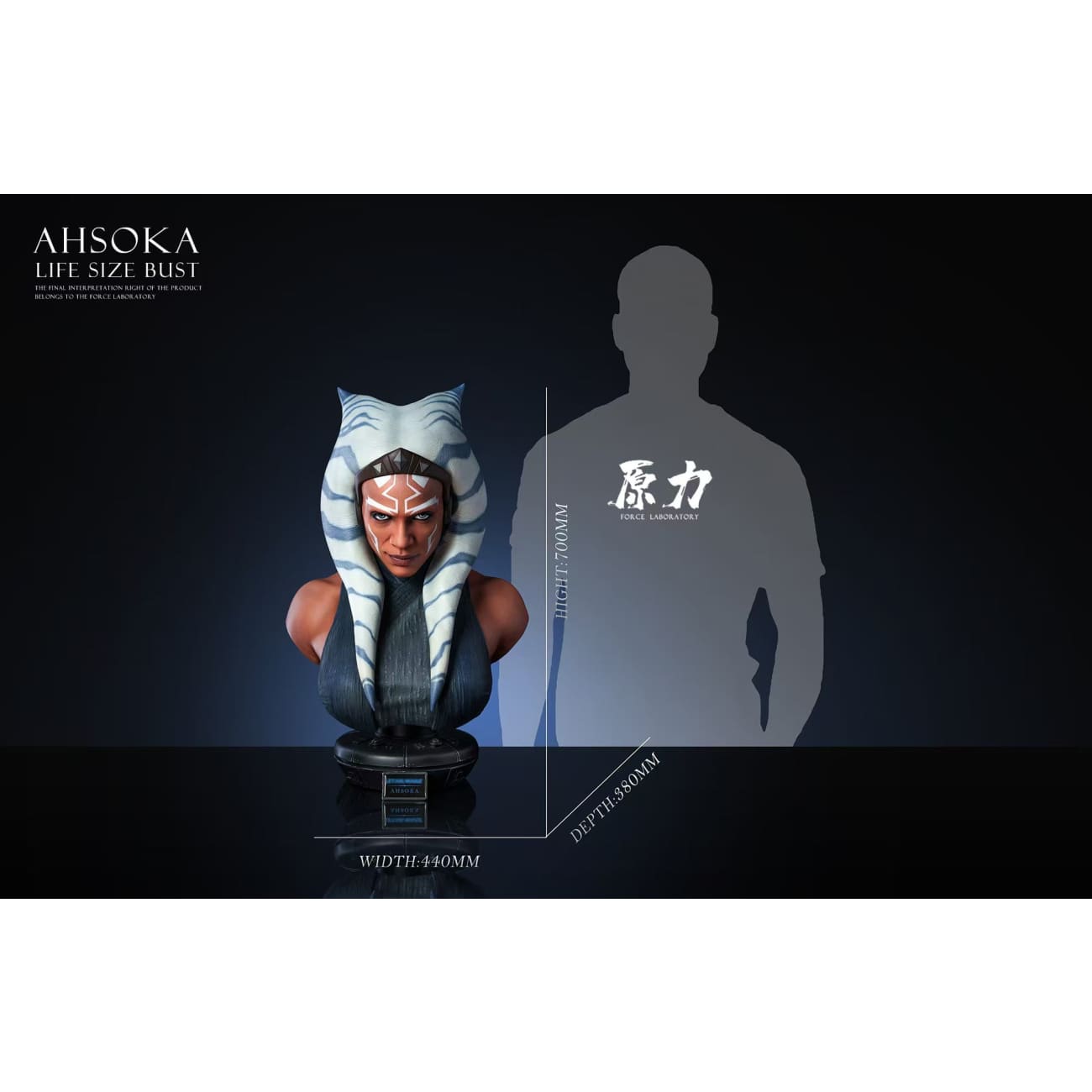 Force Laboratory Studio - Ahsoka Bust