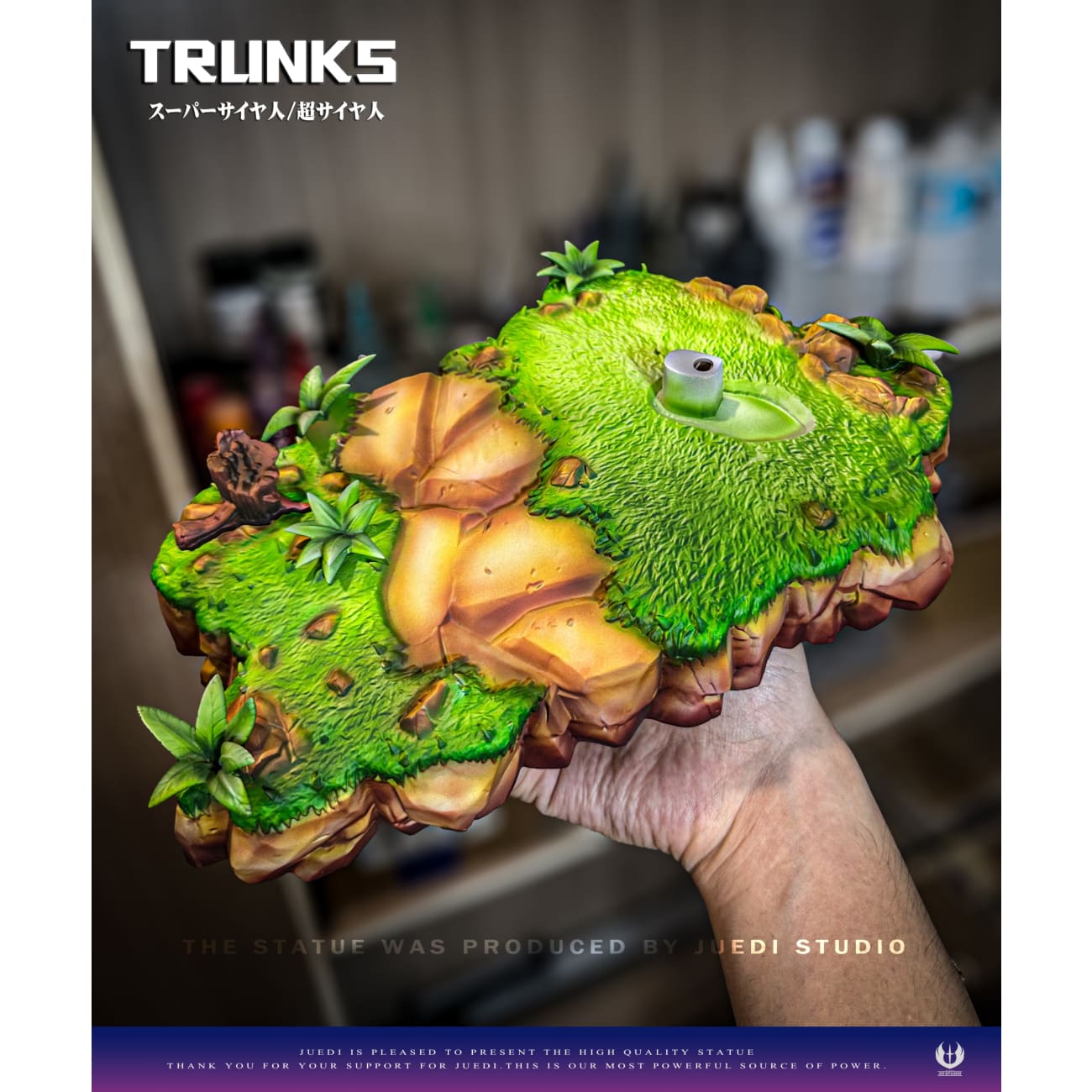 JD Studio - Trunks