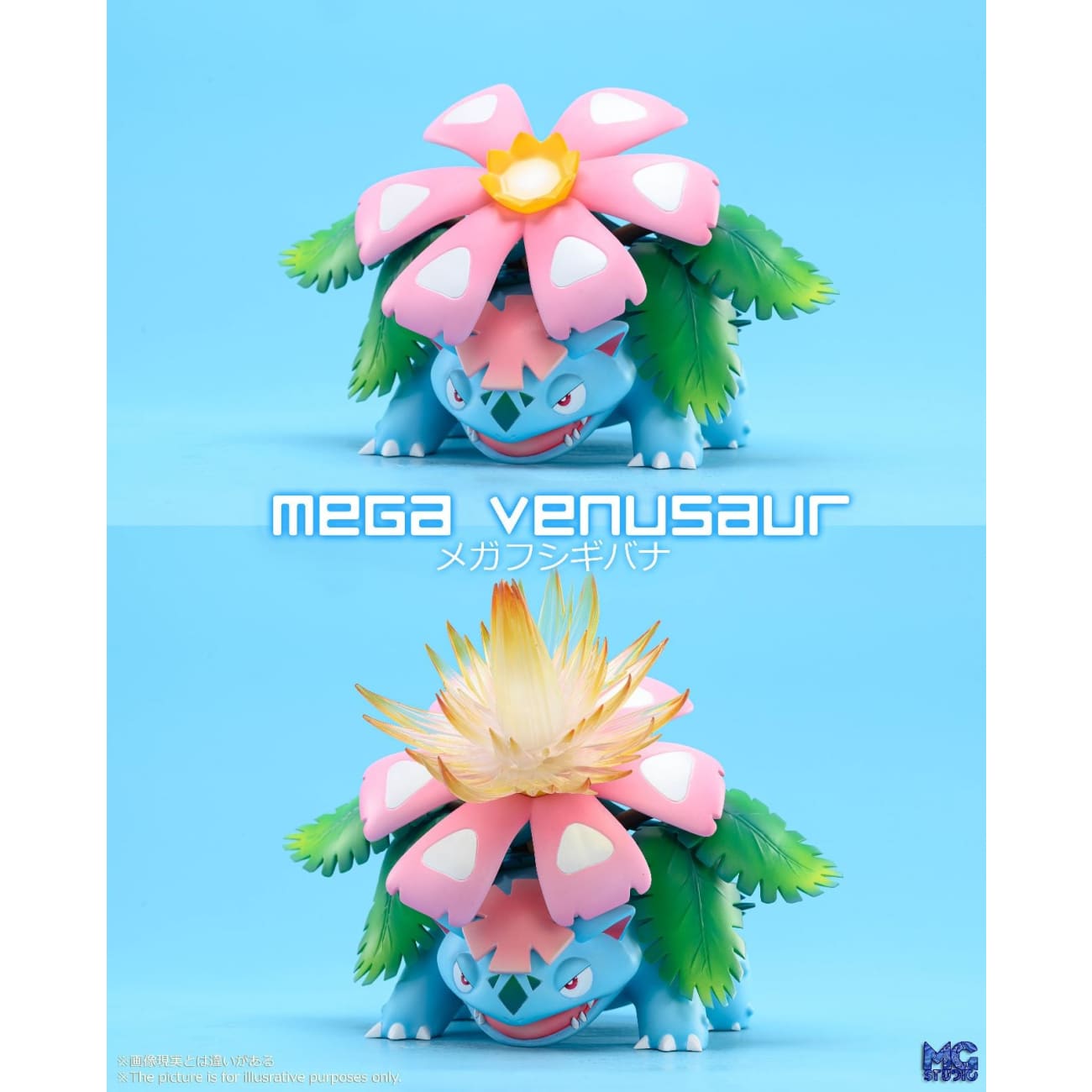 MG Studio - Mega Blastoise / Mega Venusaur