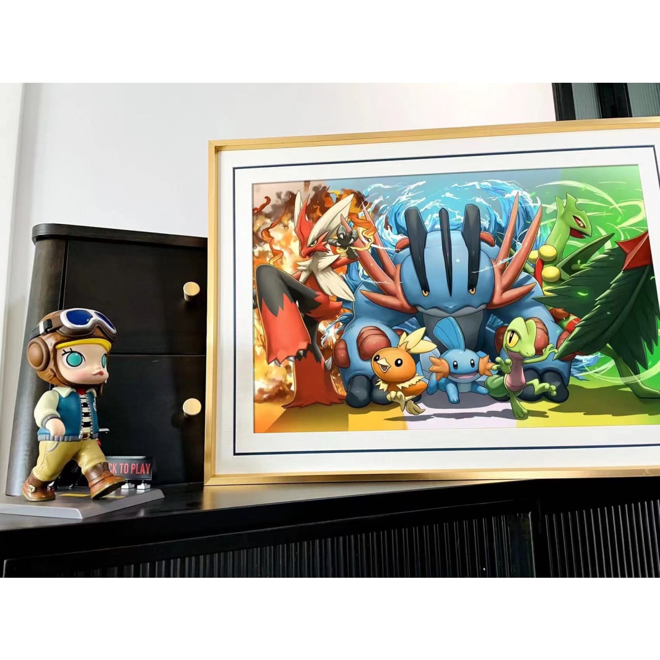 Pokemon 1st Generation/ and 3rd Generation Poster Frame