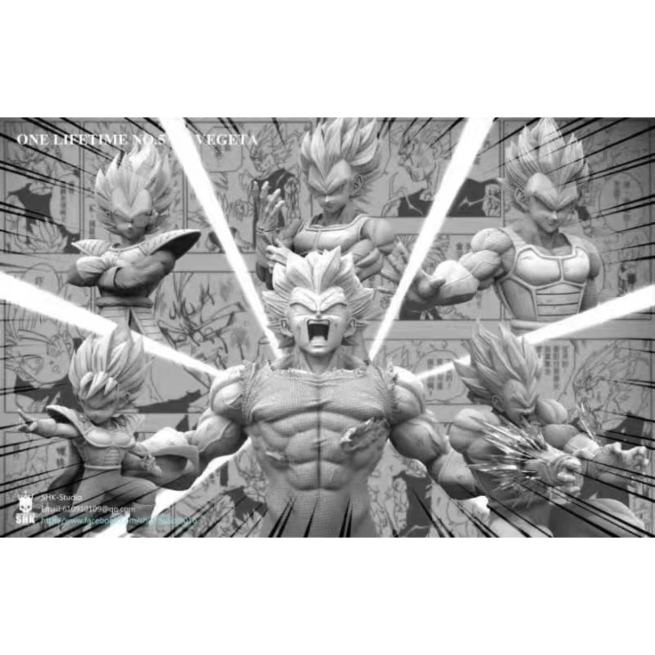 SHK Studio - Vegeta