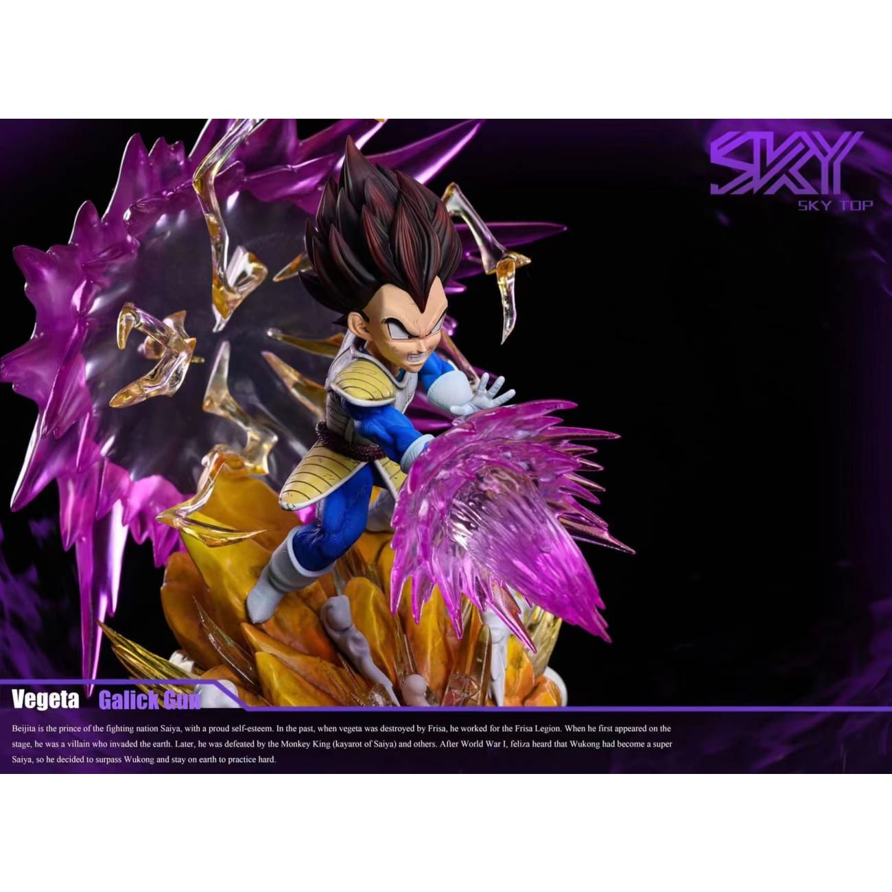 Sky Top Studio - Vegeta