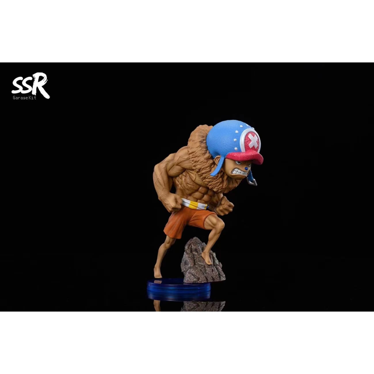 SSR Studio - 4 in 1 Tony Tony Chopper