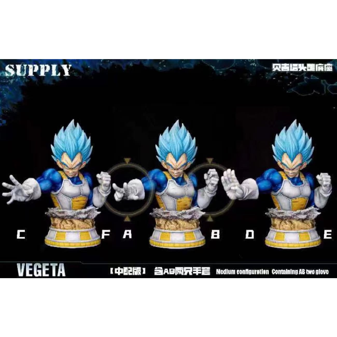 SUPPLY Studio - P1S Vegeta Third Party Base