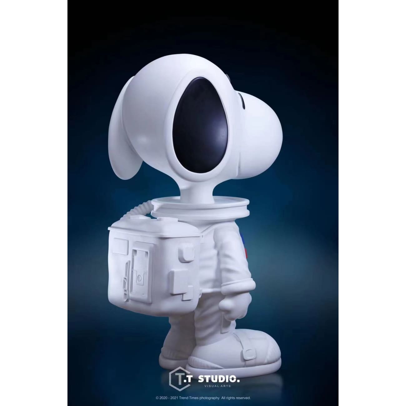 T.T Studio - NASA Snoopy