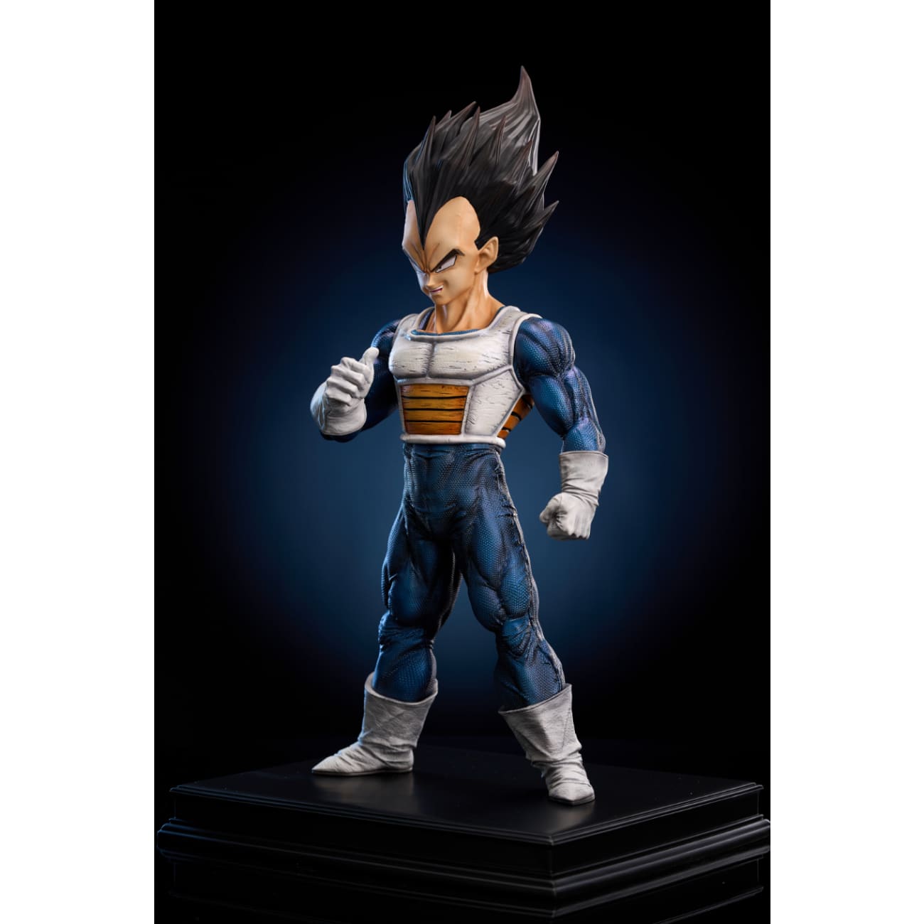 To Youth Studio - Vegeta