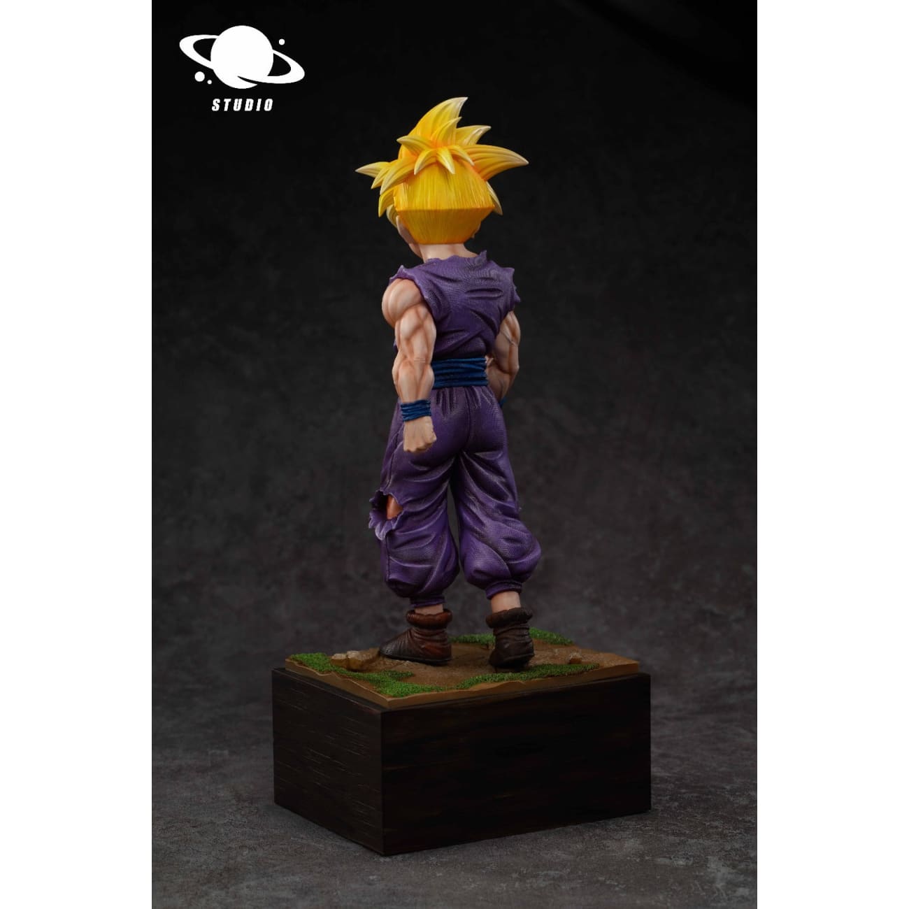 Xing Chen MoWan - Son Gohan Going Battle