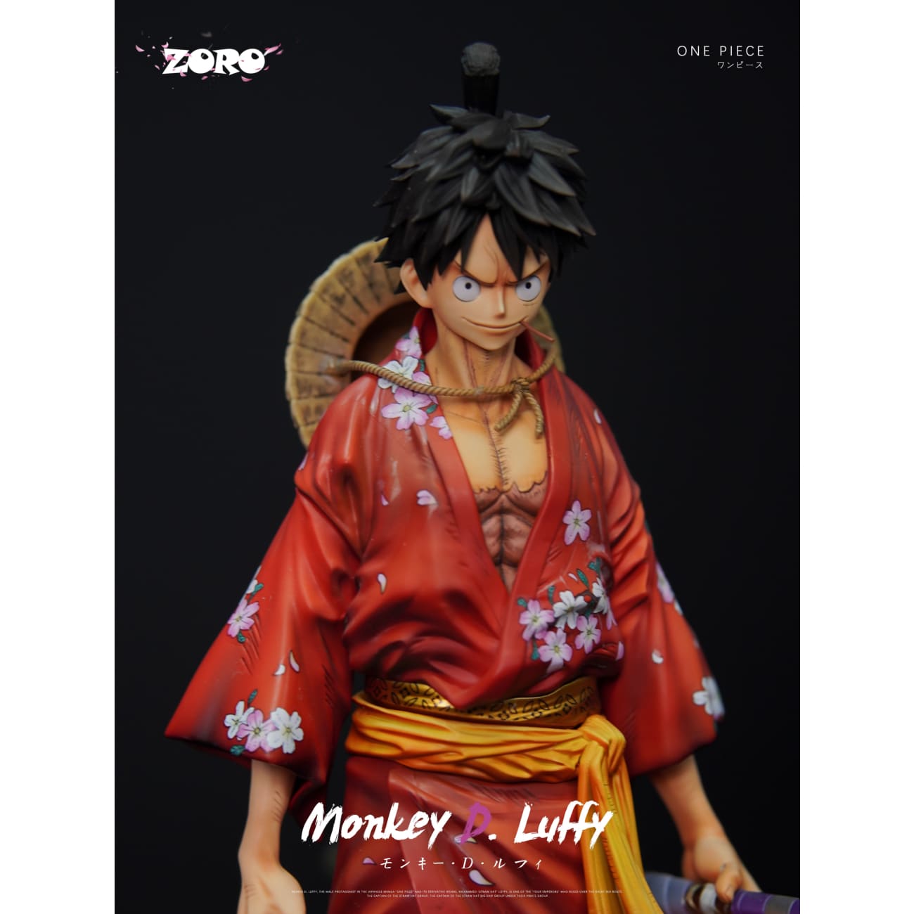 Zoro Studio - Monkey D. Luffy