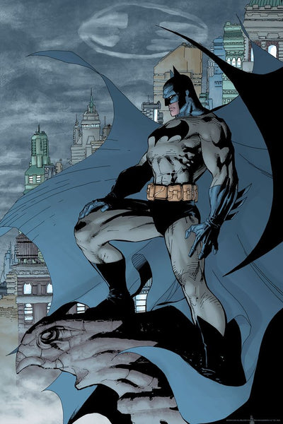 Poster Hub - Superman VS Batman Poster