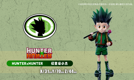 DC Studio - Gon Freecss