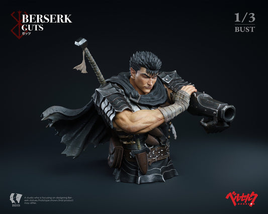BIHS Studio - Guts