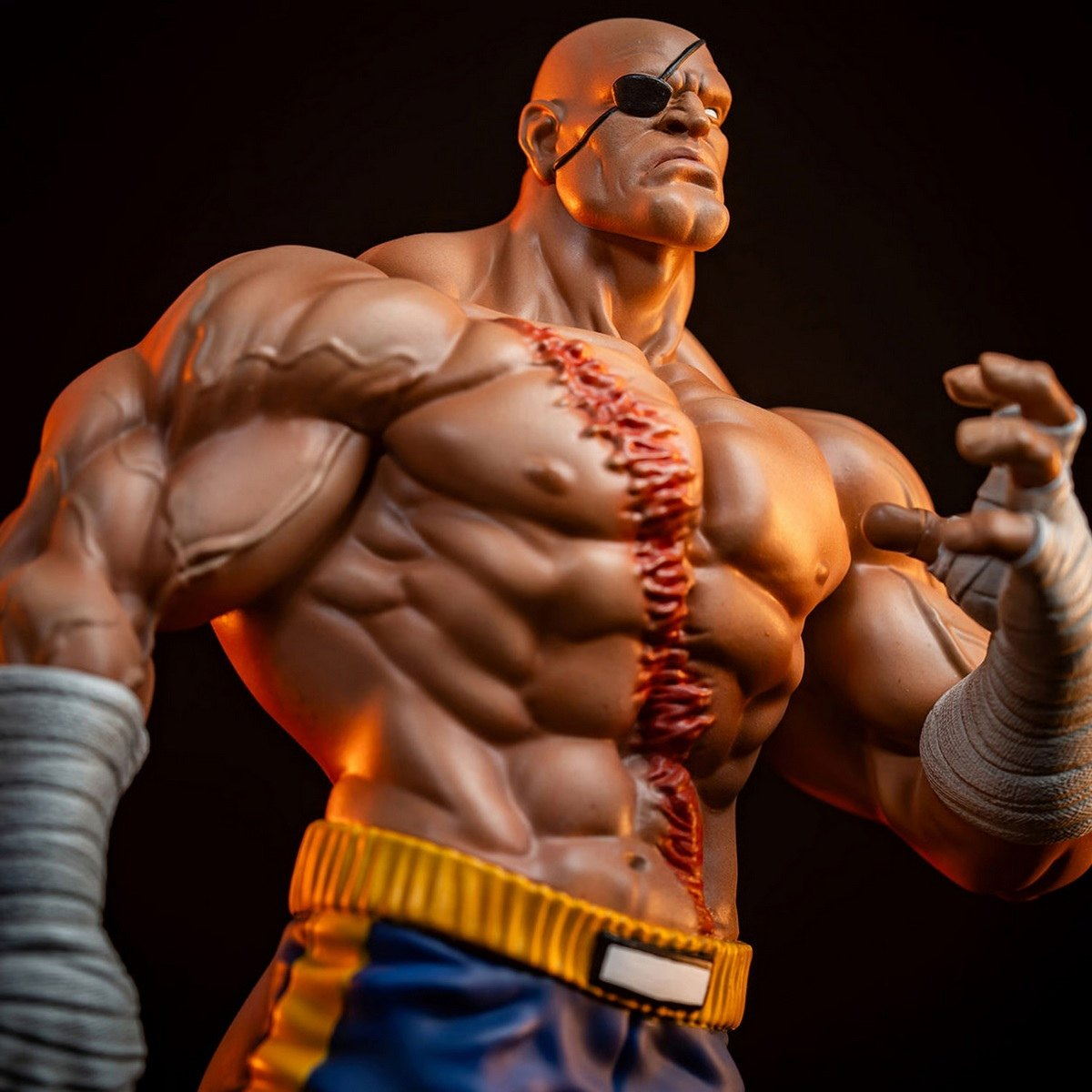Sideshow x PCS - Sagat X Juli [915331] [Licensed]