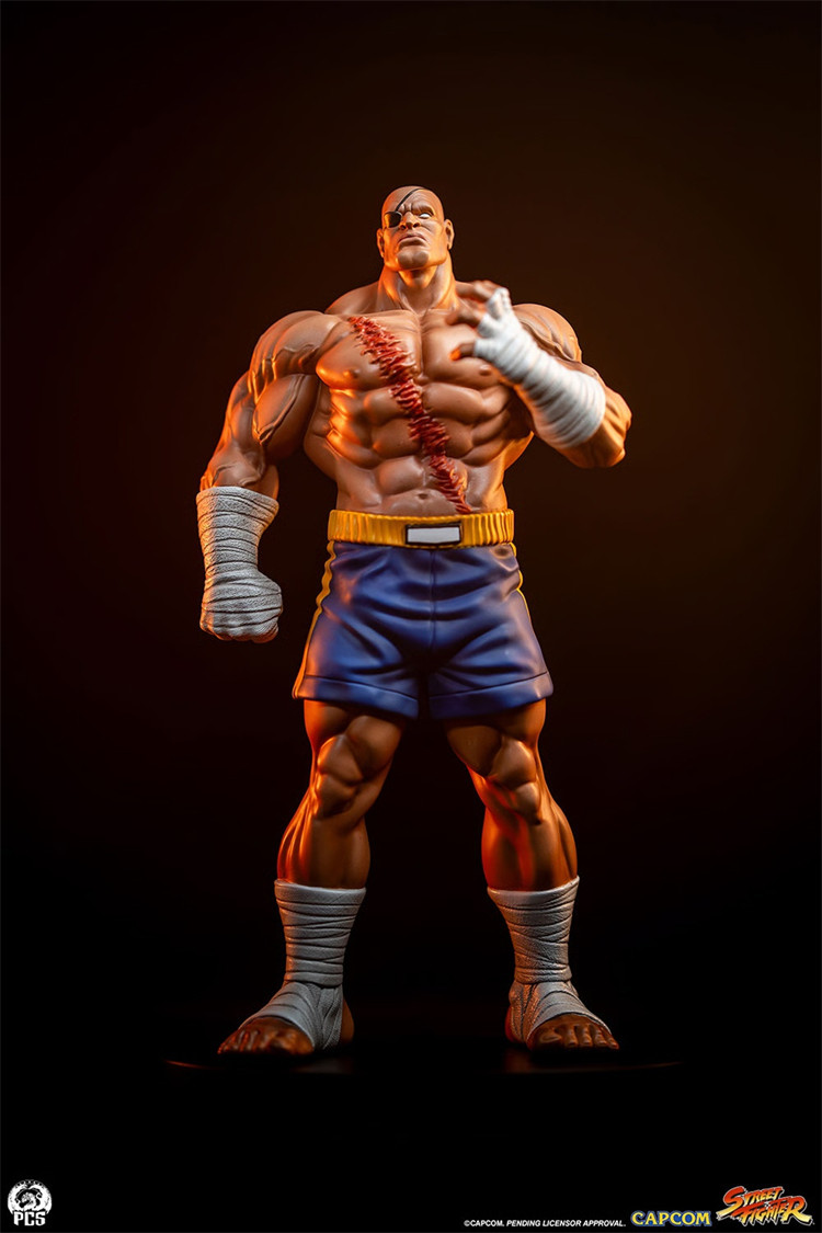 Sideshow x PCS - Sagat X Juli [915331] [Licensed]