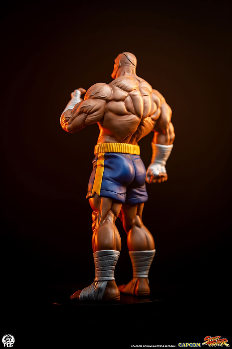 Sideshow x PCS - Sagat X Juli [915331] [Licensed]