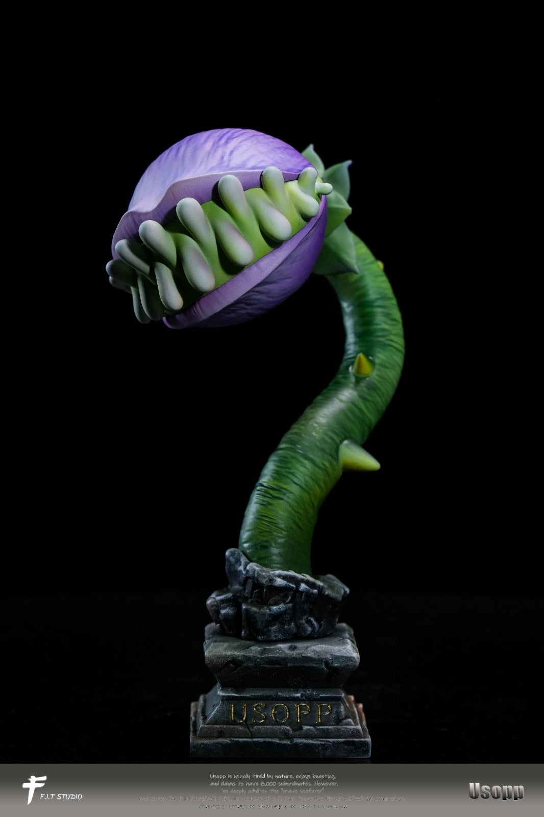 F.I.T Studio - Nika Form Usopp