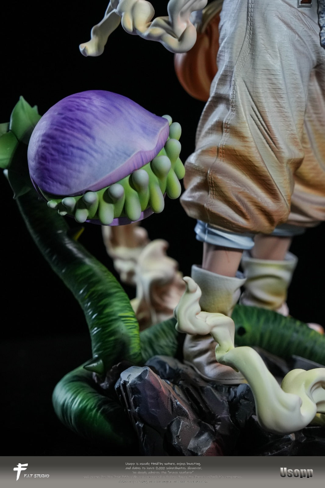 F.I.T Studio - Nika Form Usopp