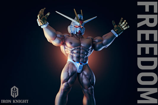 Iron Knight Studio - Freedom Gundam [2 Variants]