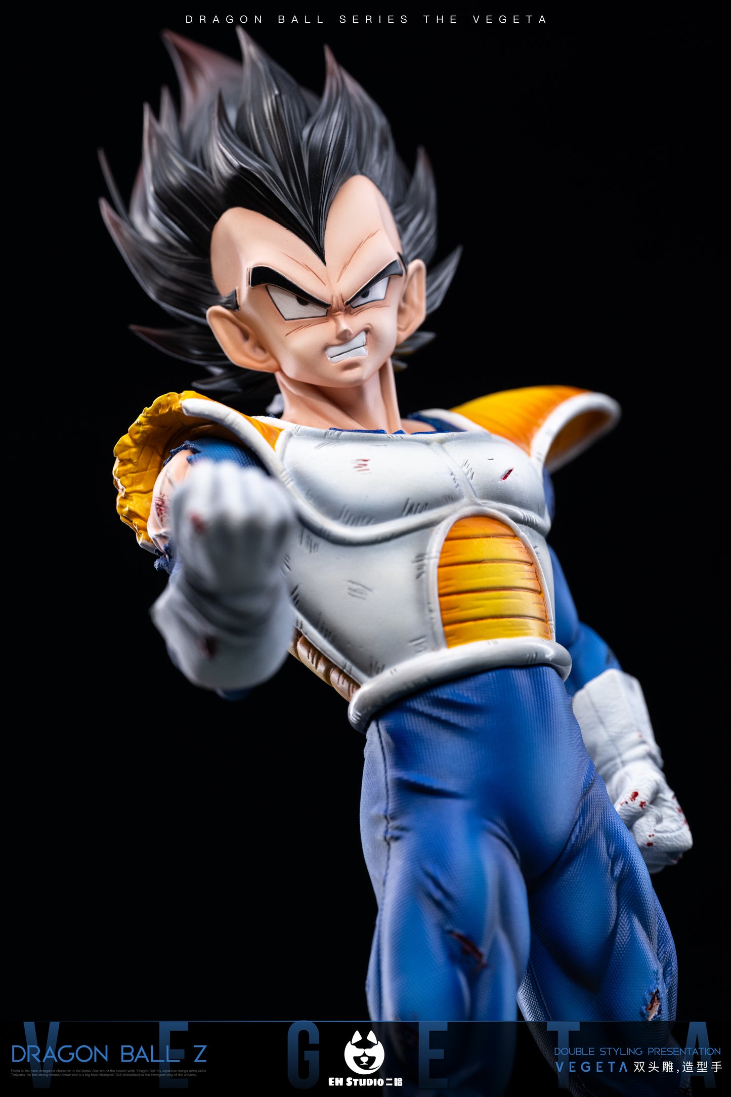 EH Studio - Vegeta