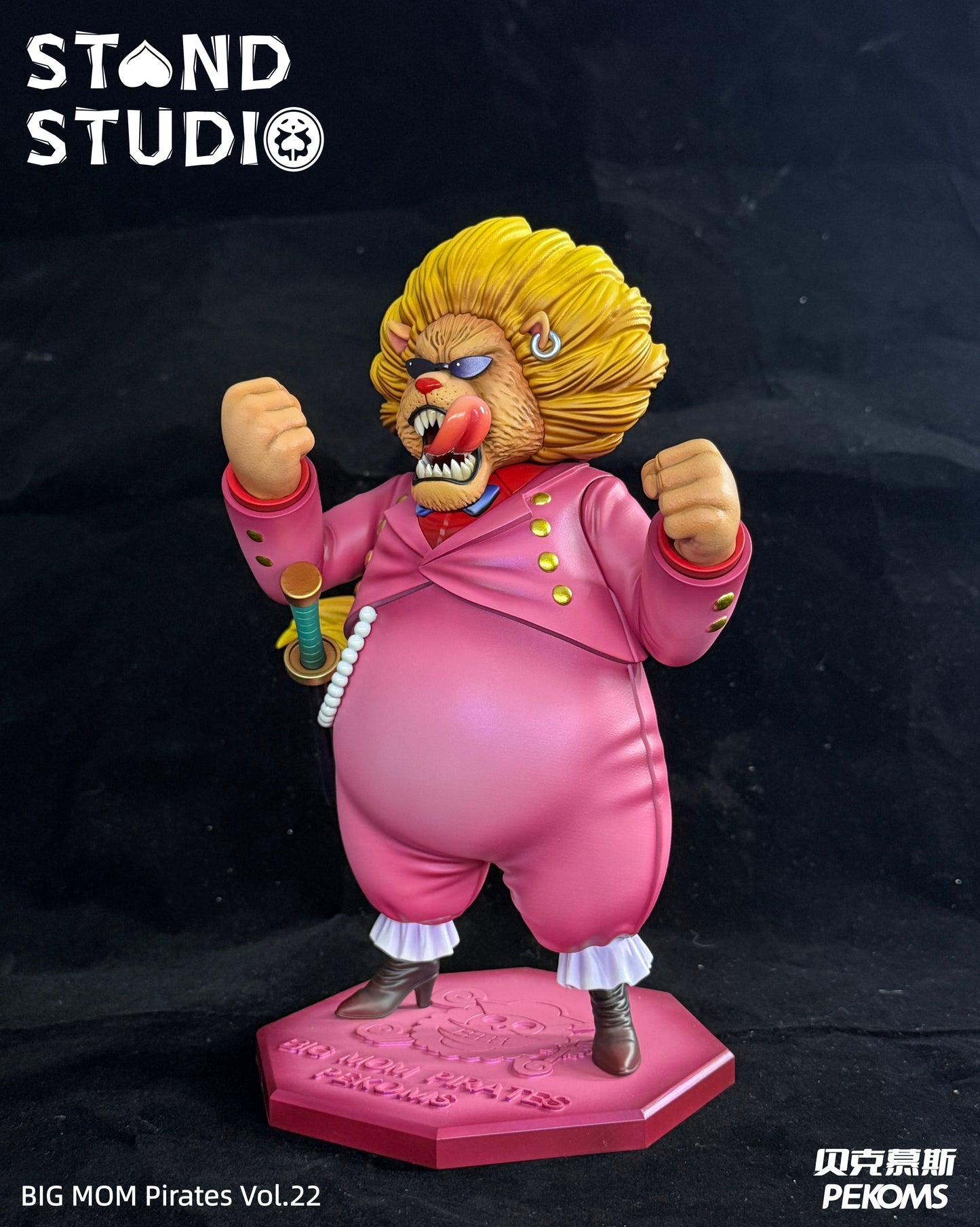 Stand Studio - Pekoms