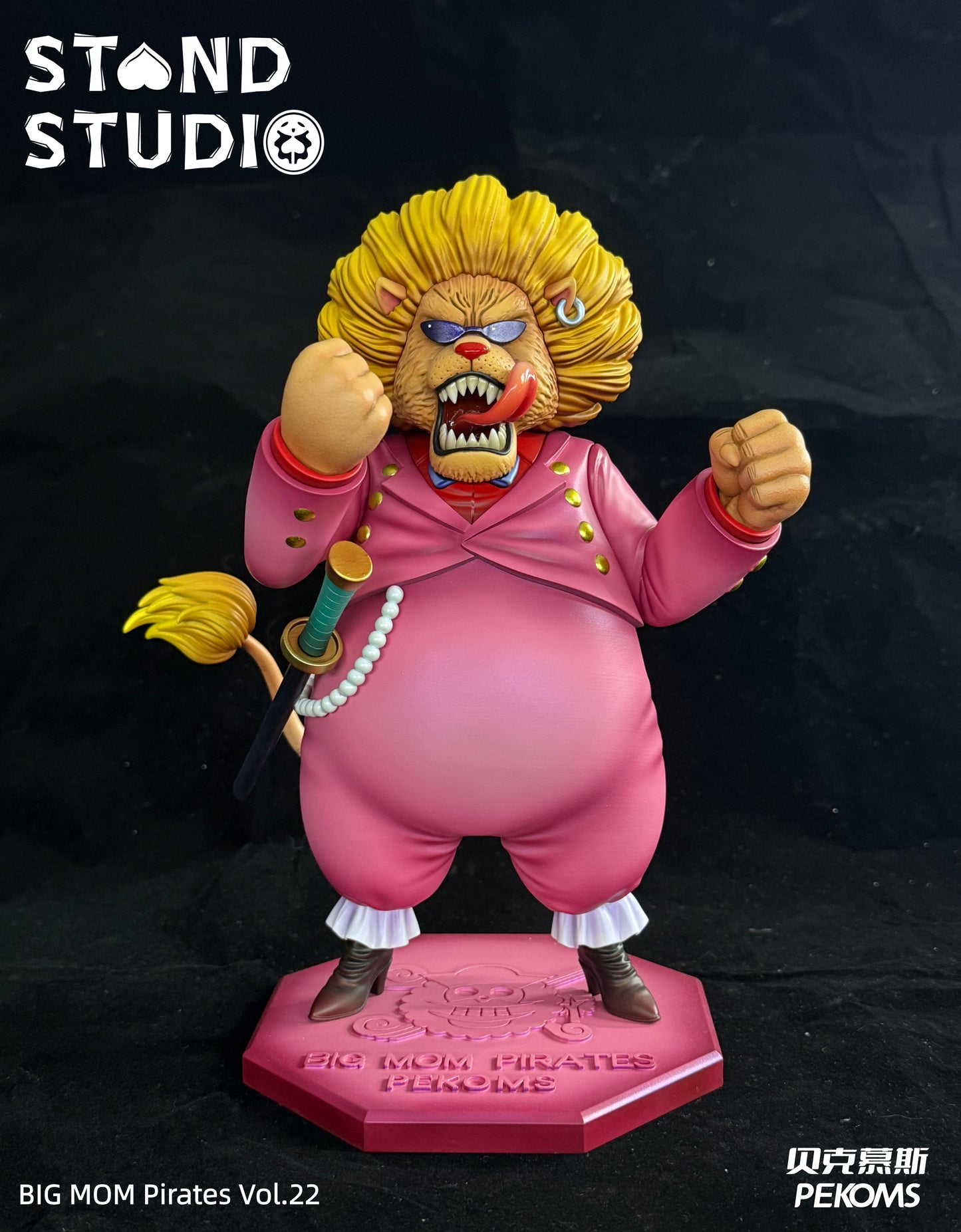 Stand Studio - Pekoms