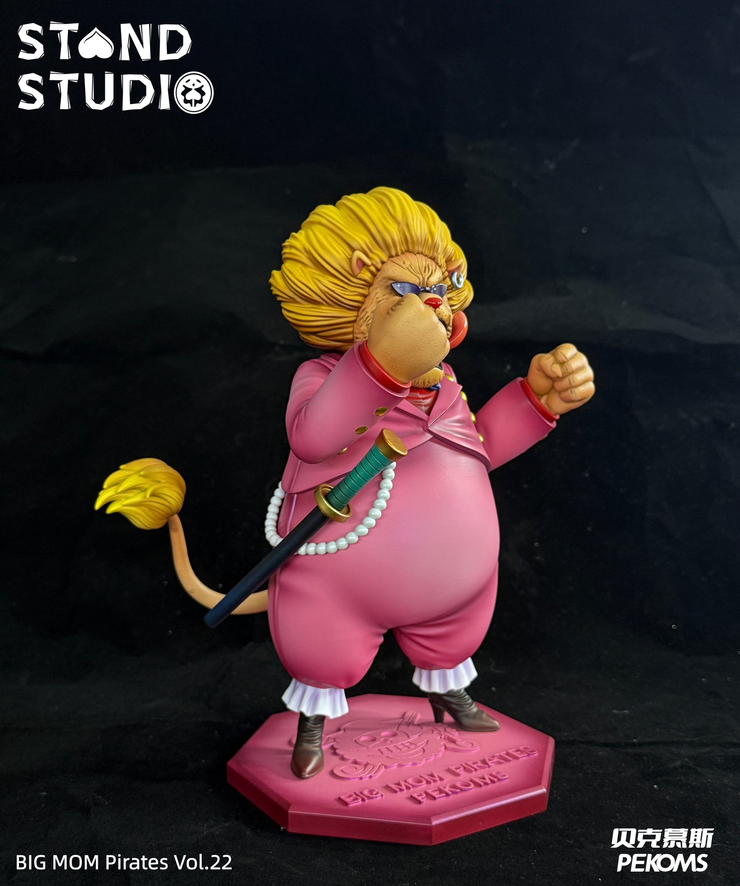 Stand Studio - Pekoms