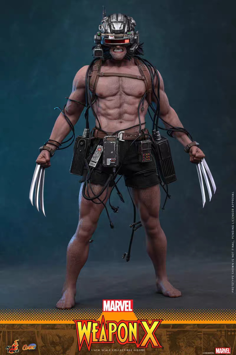 Hottoys -  Logan Wolverine Weapon X [CMS034] [Licensed]