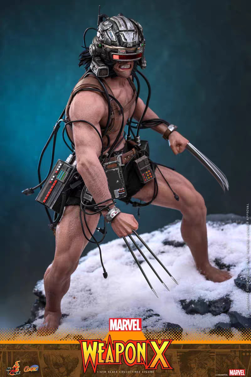 Hottoys -  Logan Wolverine Weapon X [CMS034] [Licensed]