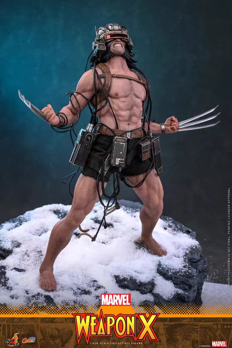 Hottoys -  Logan Wolverine Weapon X [CMS034] [Licensed]