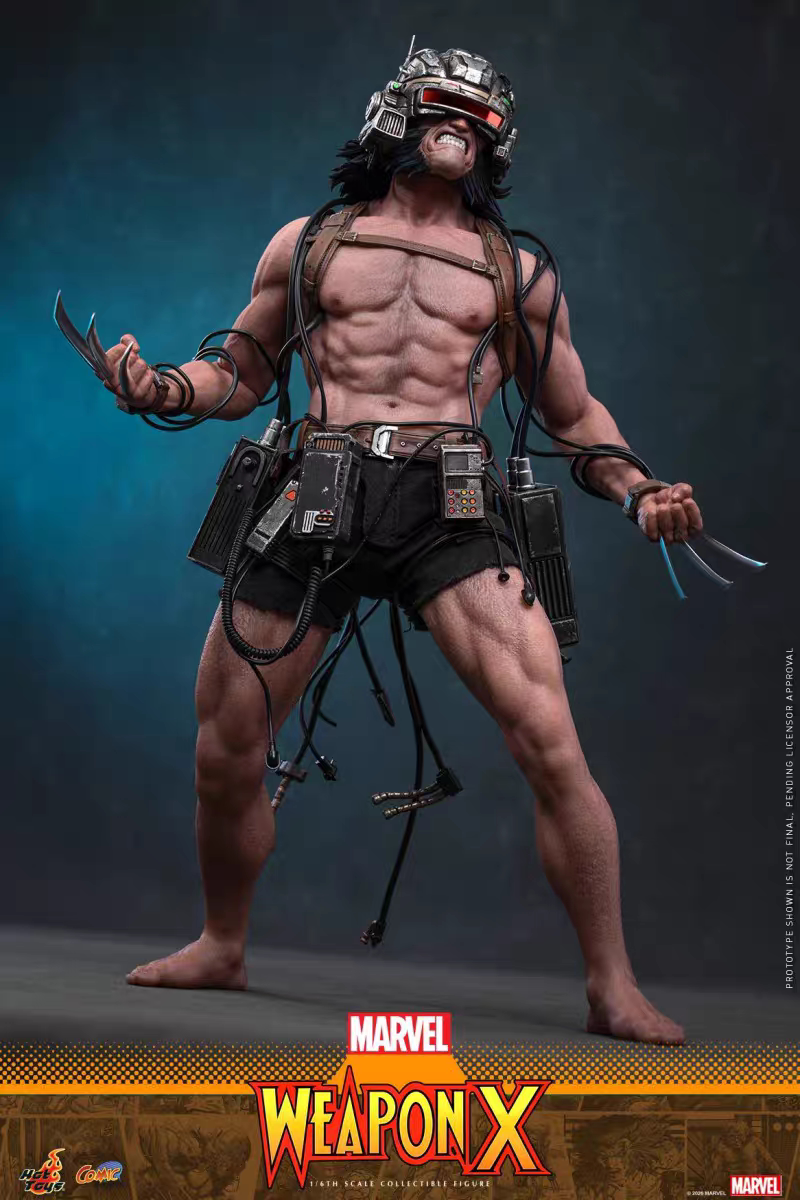 Hottoys -  Logan Wolverine Weapon X [CMS034] [Licensed]
