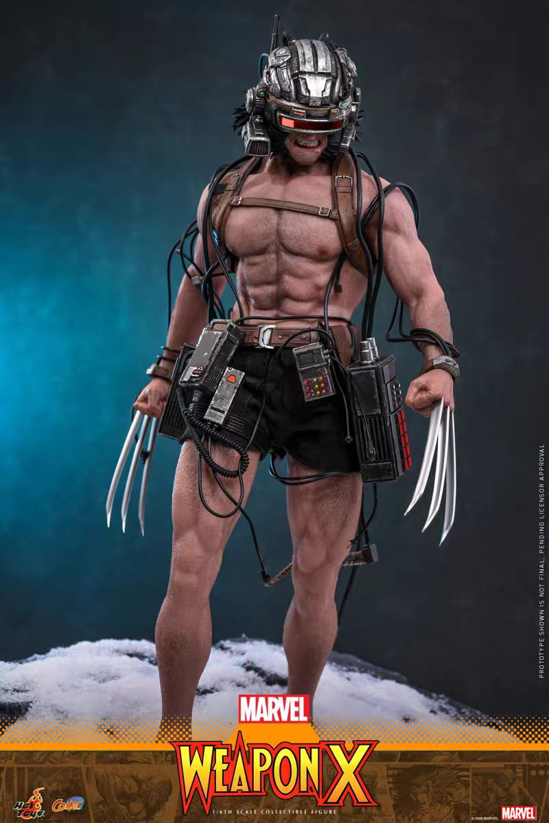 Hottoys -  Logan Wolverine Weapon X [CMS034] [Licensed]