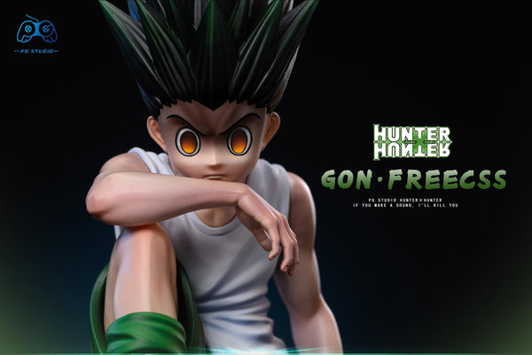 PG Studio - Sitting Killua Zoldyck / Gon Freecss