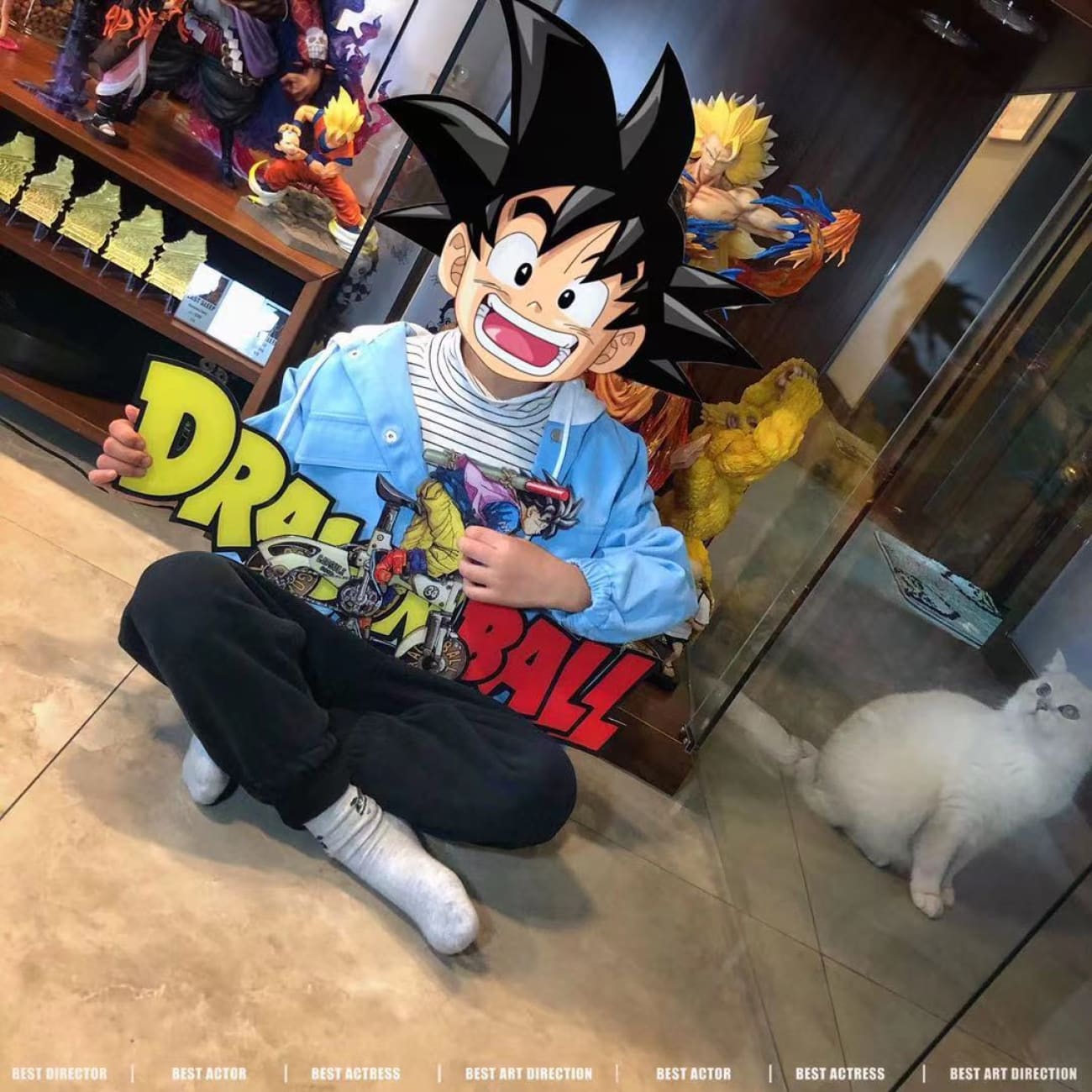 3D Studio - DragonBall Logo Stand