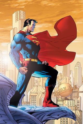 Poster Hub - Superman VS Batman Poster