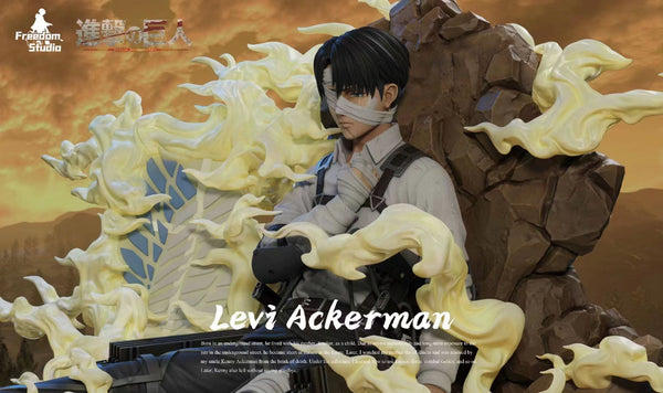 Freedom Studio - Levi Ackerman